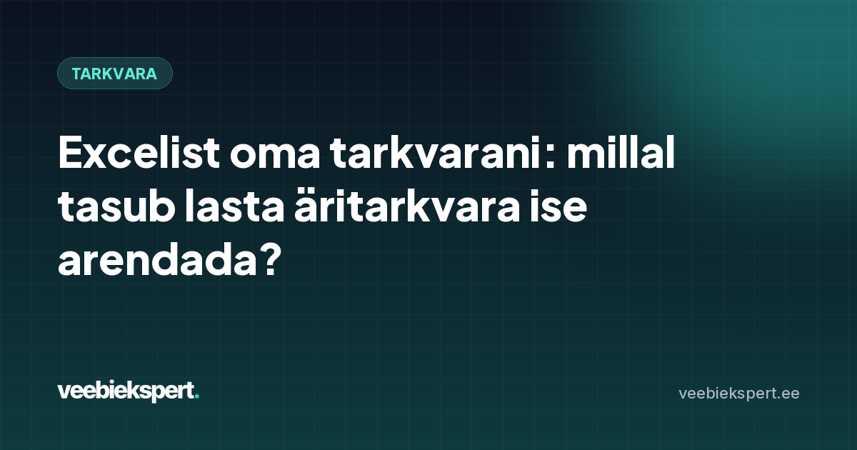 Excelist oma tarkvarani: millal tasub lasta äritarkvara ise arendada?