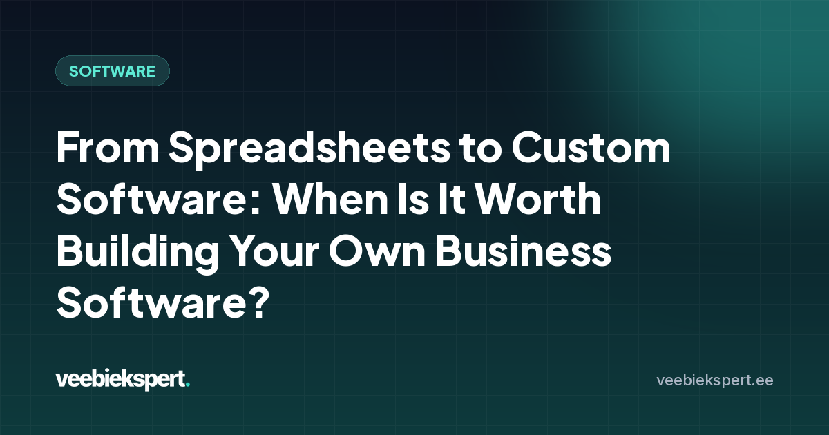 From Spreadsheets to Custom Software: When Is It Worth Building Your Own Business Software?